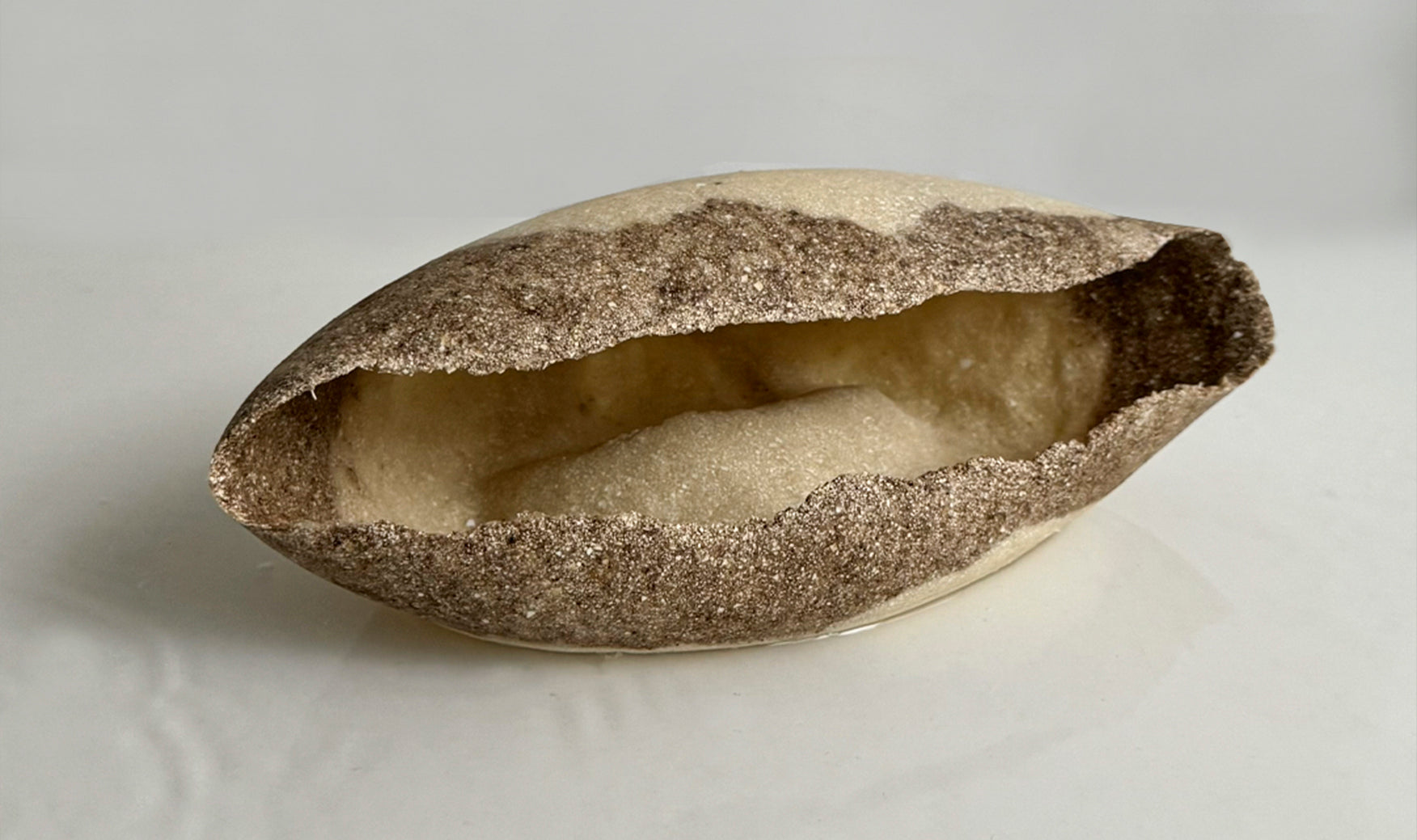 Biomaterials & Green Design: Shaping a Sustainable Future