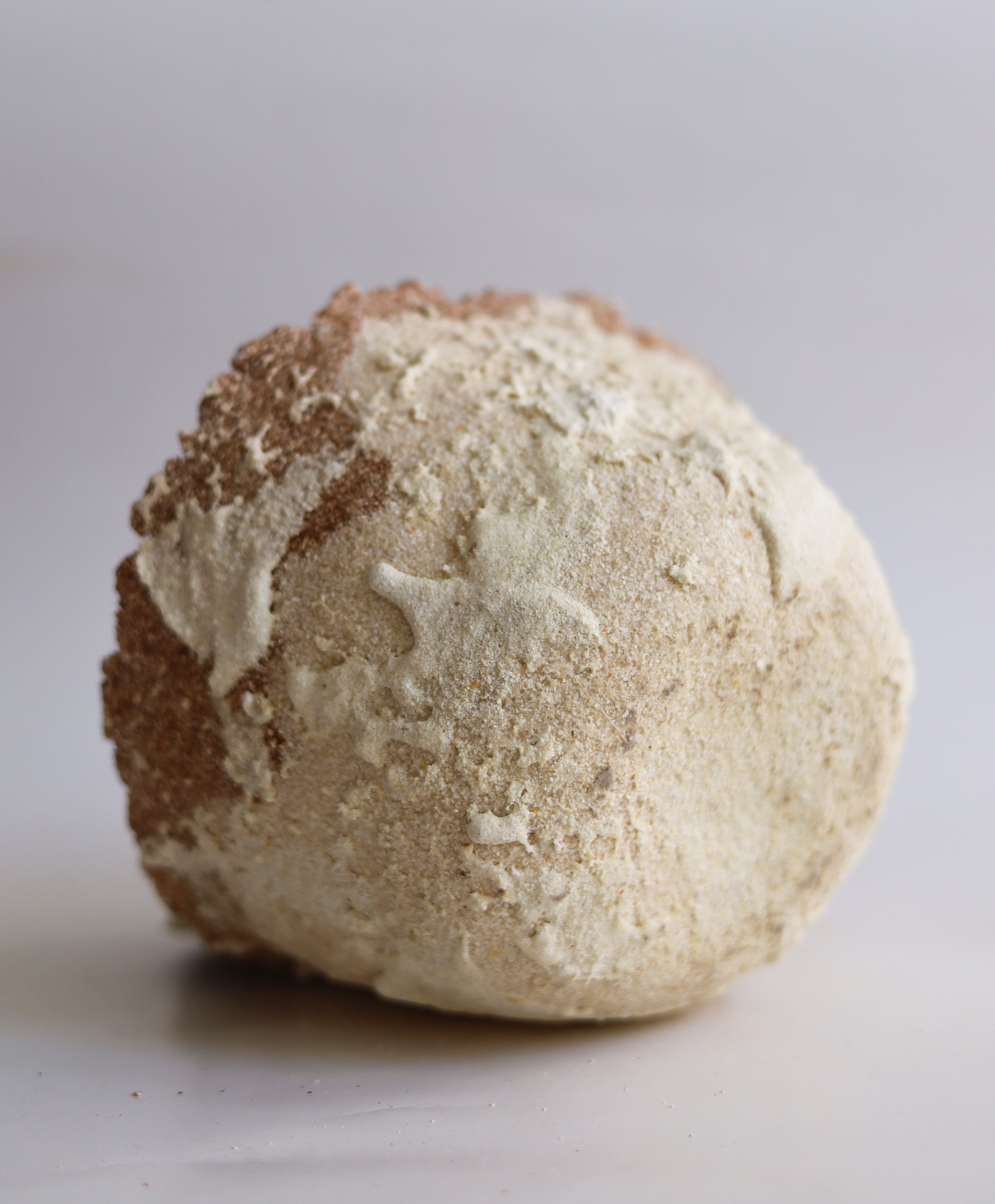 Eggshell Bio Ceramic Object Series – Re-Obj No 1