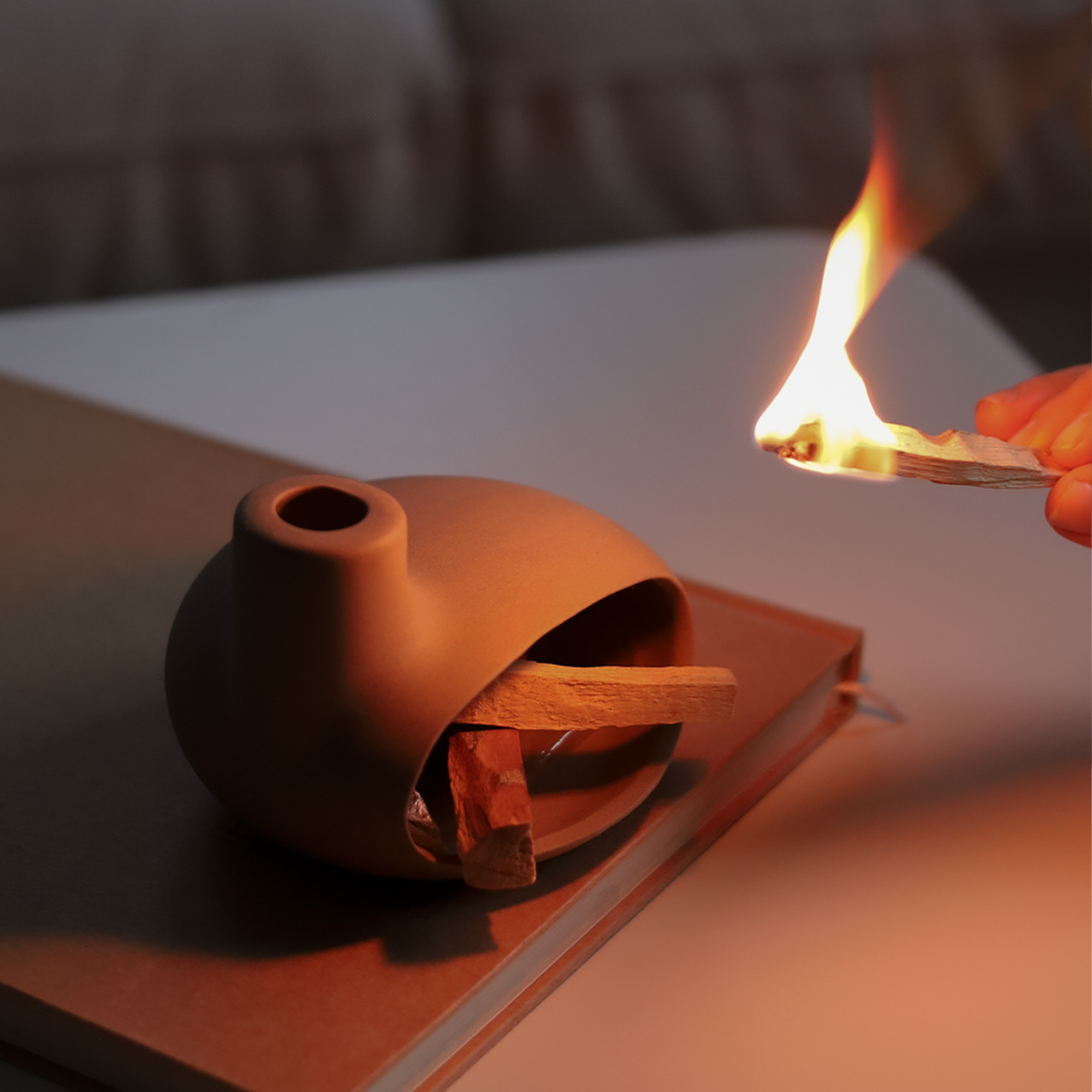 Home Energy Cleansing Rituals with Palo Santo