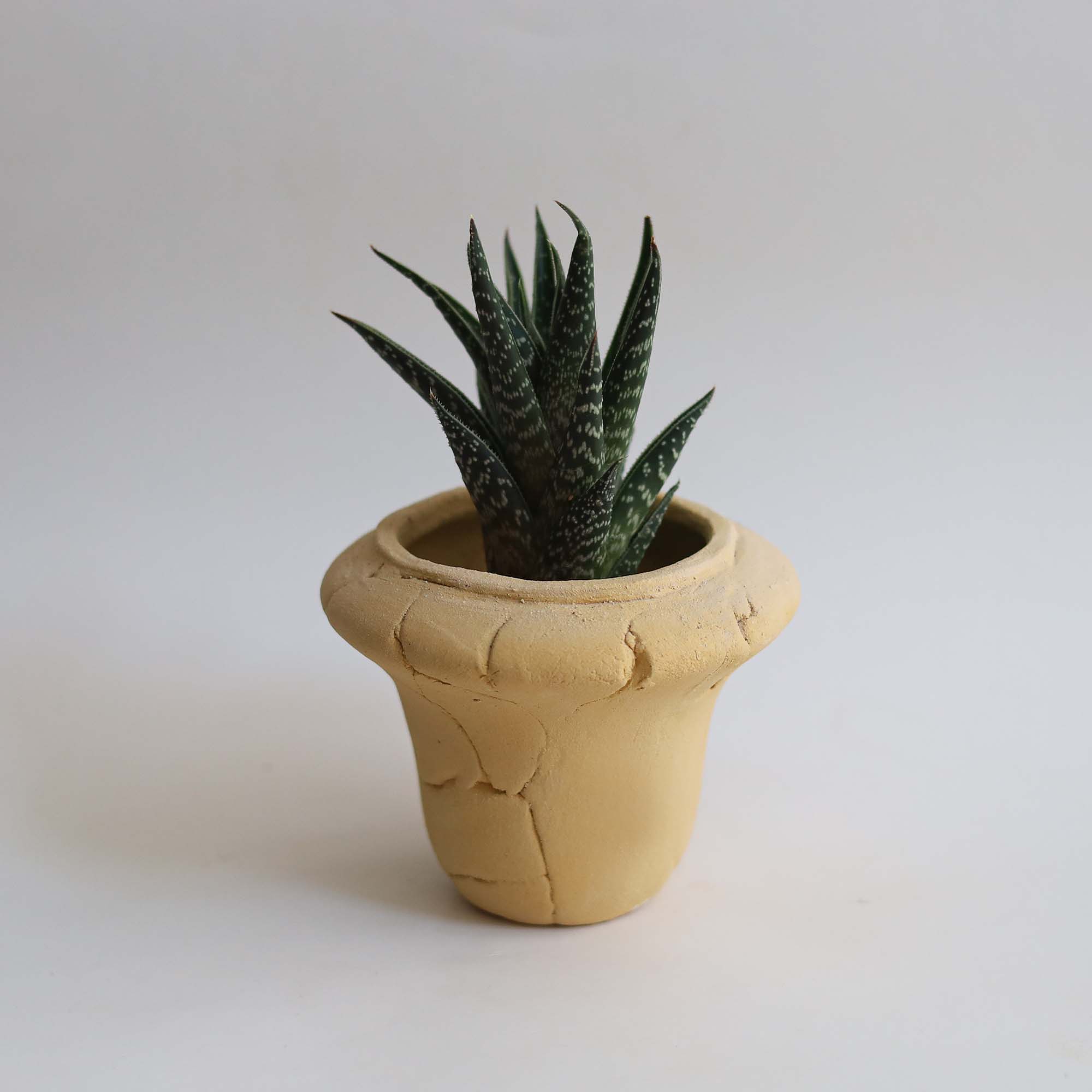 Vase, Vessels, Pot